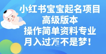 小红书宝宝起名项目高级版本,操作简单,资料专业,月入过W-掘金阁