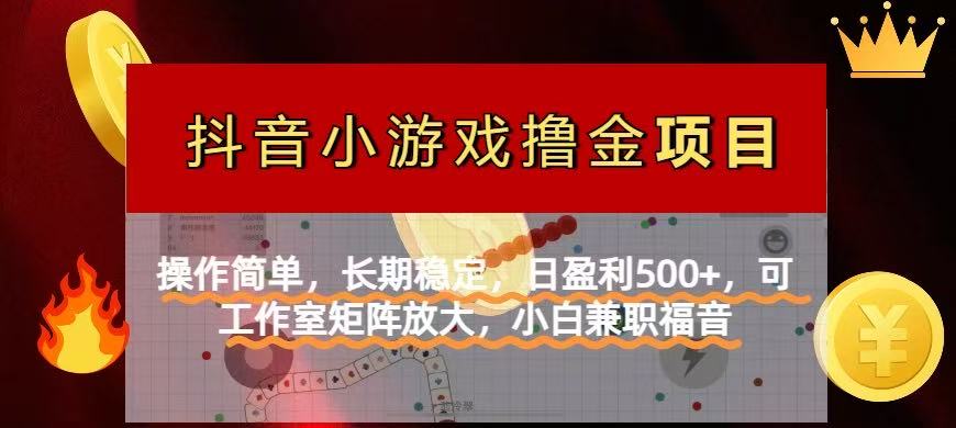 （14290期）【抖音小游戏发行人计划项目】操作简单，长期稳定，日盈利500+，可工作...-掘金阁